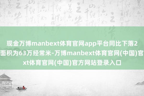 现金万博manbext体育官网app平台同比下落2.8%；合约销售面积为63万经常米-万博manbext体育官网(中国)官方网站登录入口